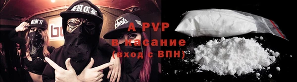 ПСИЛОЦИБИНОВЫЕ ГРИБЫ Вязьма