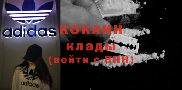 шишки Вязники